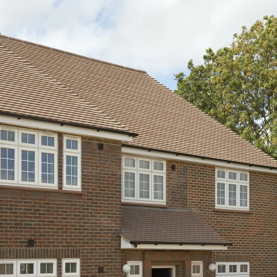 Orangery — Product Leytonstone